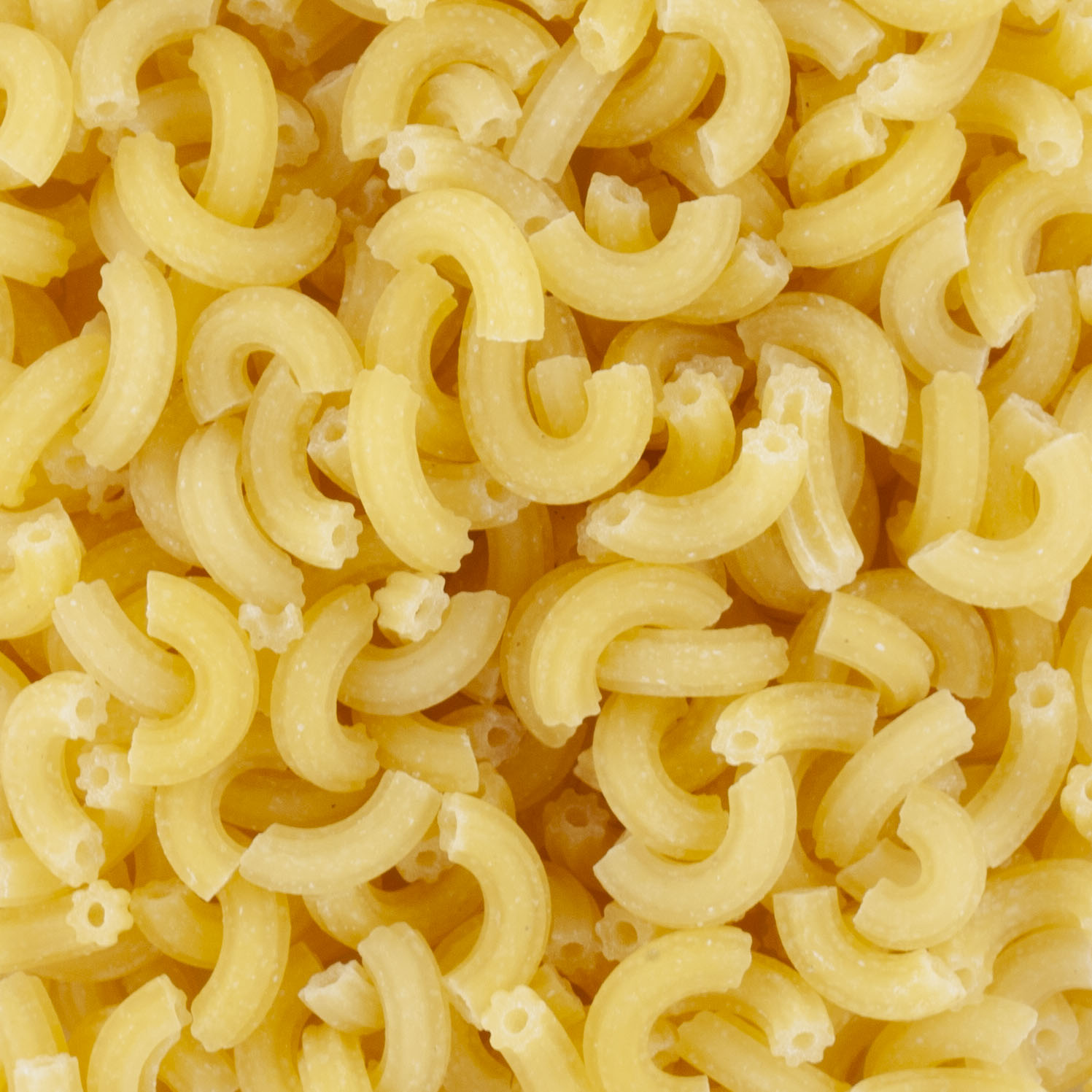 COQUILLETTES MAIS ET RIZ BIO day by day