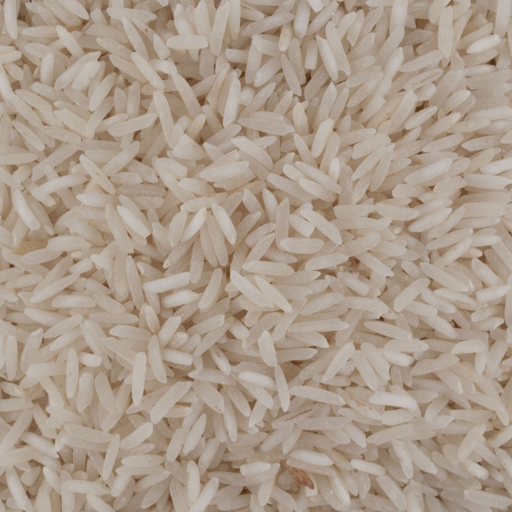 RIZ BASMATI QUALITE SUPERIEURE day by day