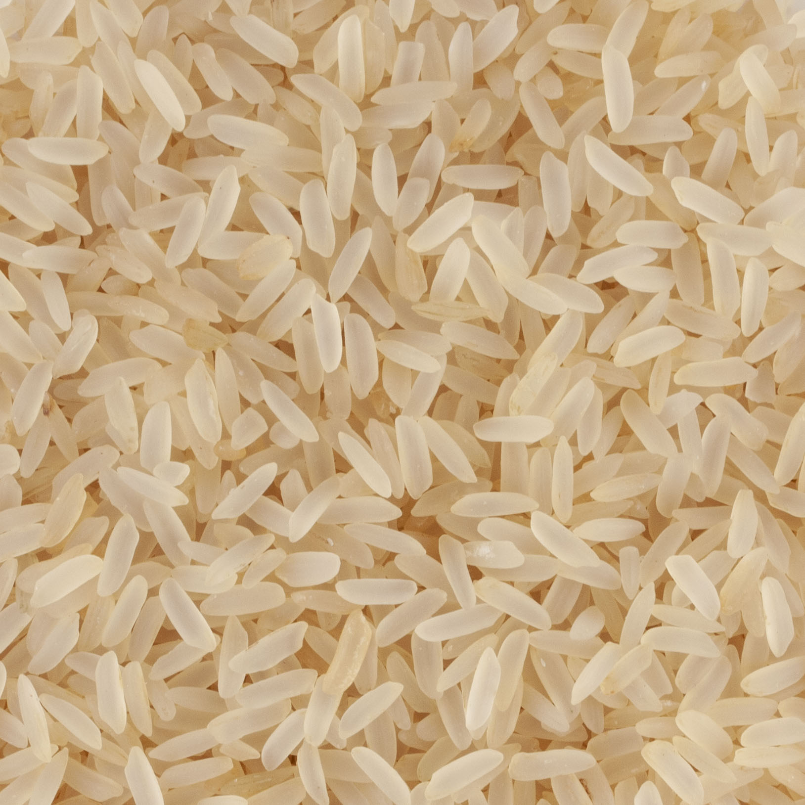 E Riz Riz Étuvé Ou Non _ Riz Étuvé Définition – LVGFW