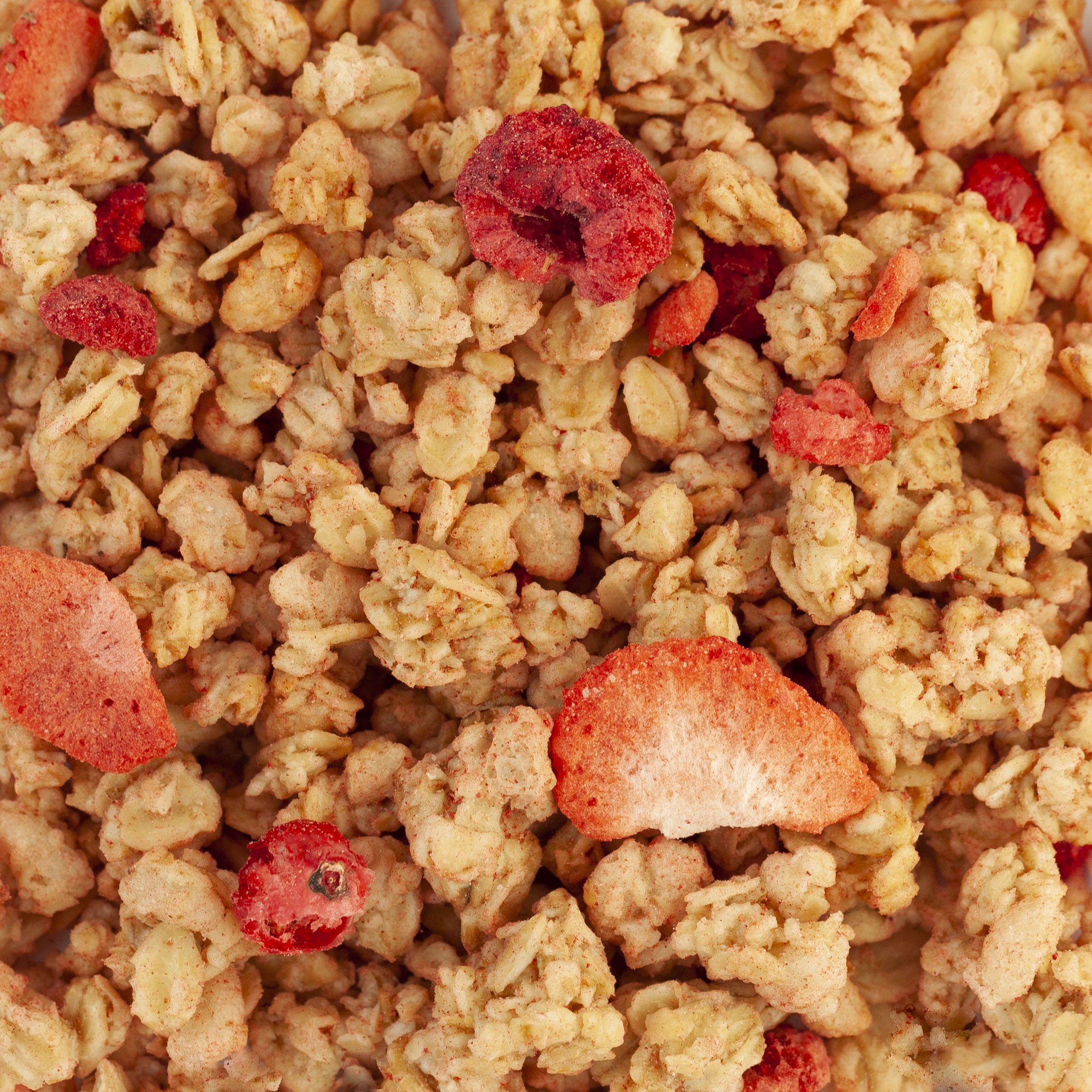 CRUNCHY FRUITS ROUGES BIO - day by day