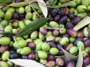 Olives