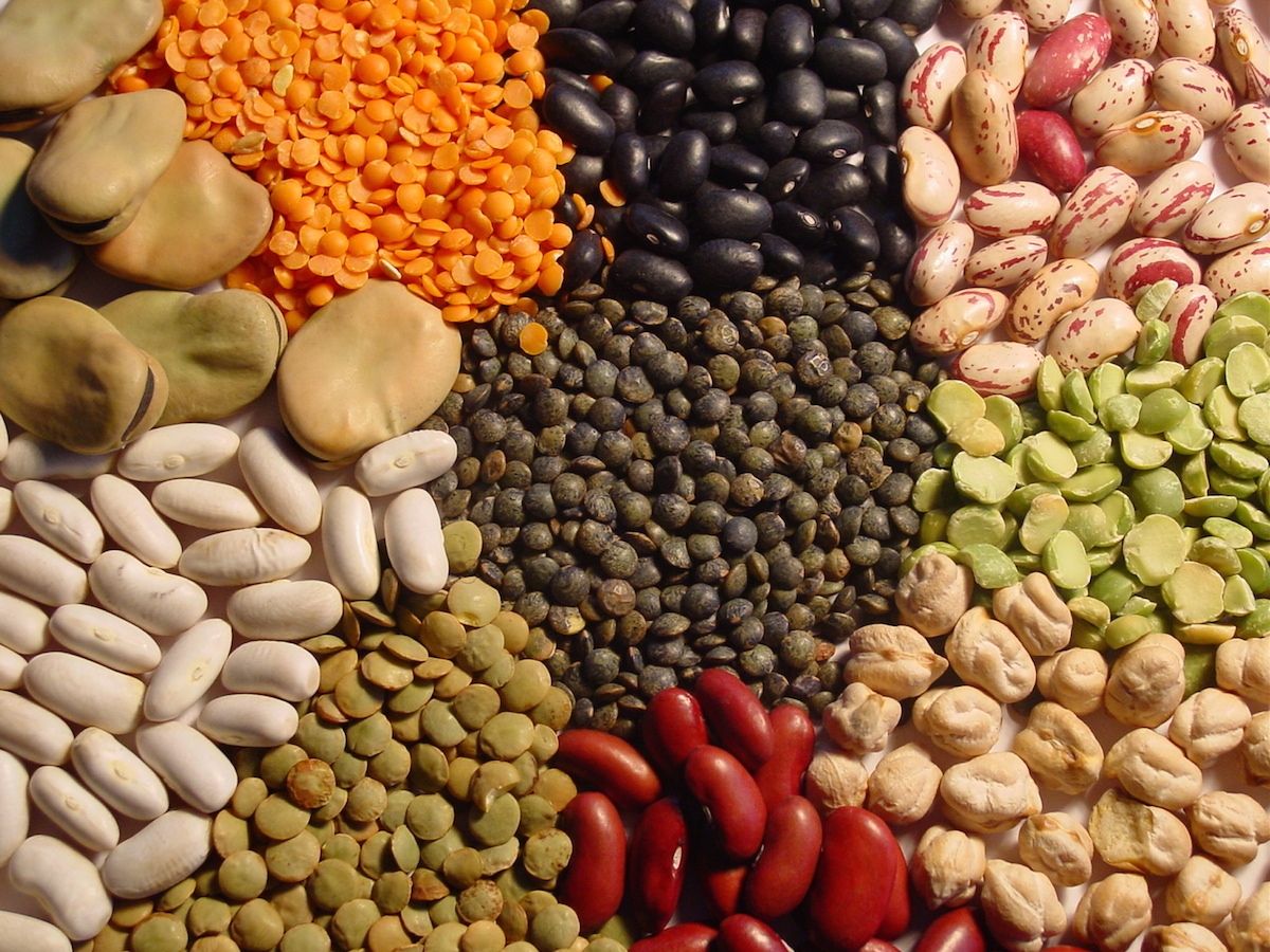 légumes-secs - day-by-day