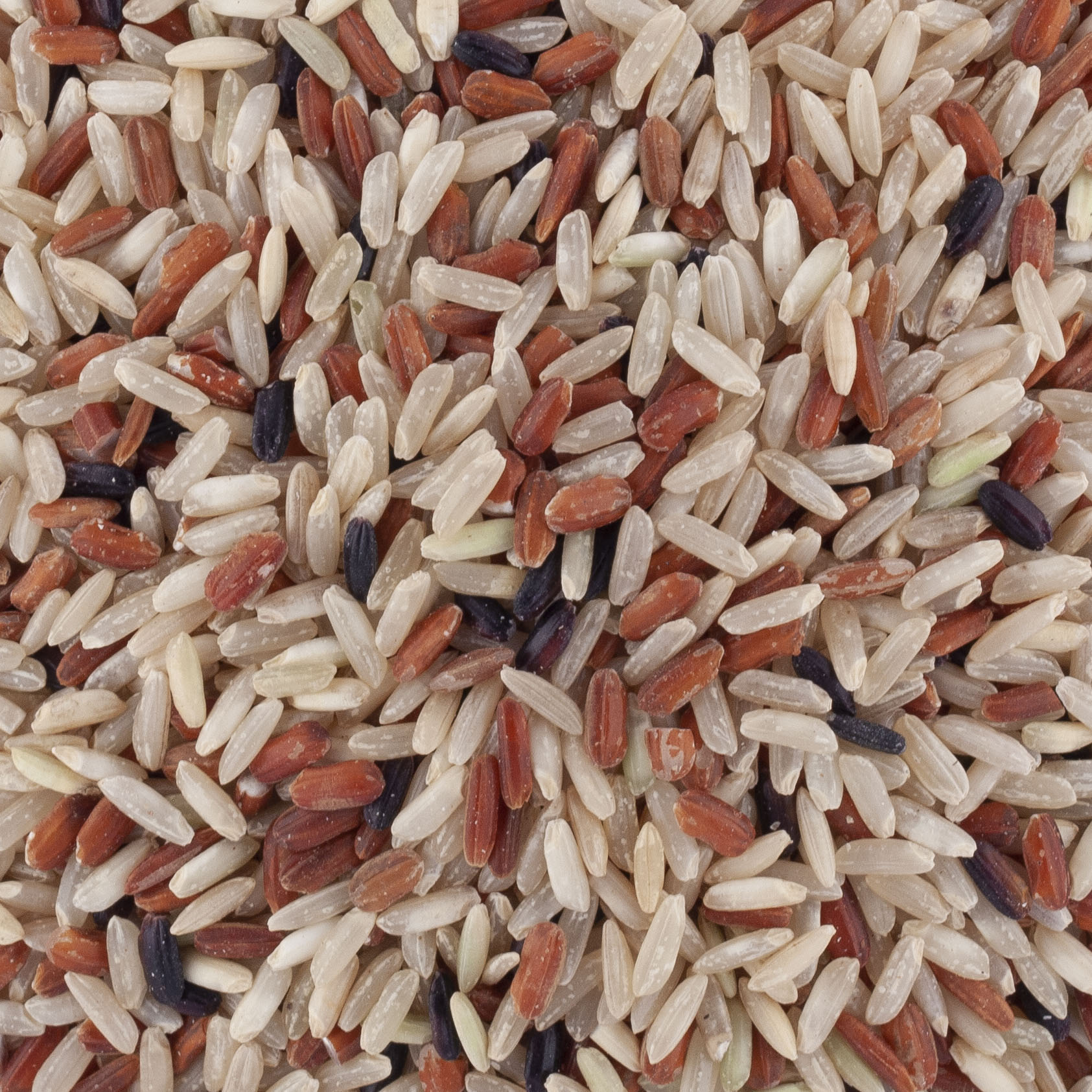 TRIO DE RIZ DE CAMARGUE IGP BIO day by day